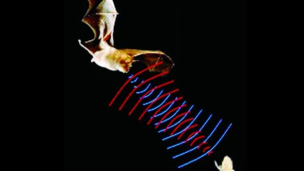 超声波相控阵(基本原理、全聚焦、应用案例)--3