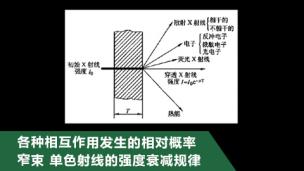 各种相互作用发生的相对概率及窄束单色射线规律